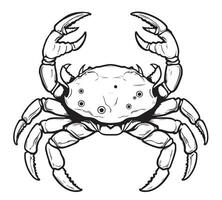 Crab hand drawn sketch in Comic style coloring book vector