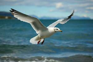 AI generated Seaside journey Seagull in flight against a captivating sea background photo