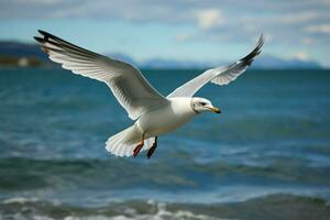 ai generado playa viaje Gaviota en vuelo en contra un cautivador mar antecedentes foto