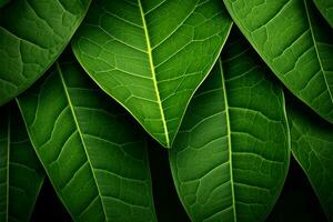 AI generated Foliage Harmony Green leafy background reflects the beauty of nature photo