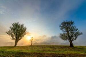 Mae Tho view point with big trees in the morning at Chiang mai, Thailand photo