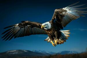 ai generado pájaro de presa águila en dinámica vuelo conjunto en contra azul foto