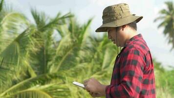 joven agricultores utilizar tabletas a monitor cocos video