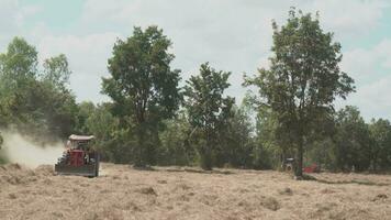traktor klippning gräs för lantbruk i de jordbruks industri video