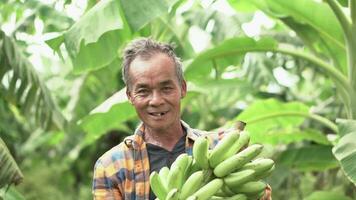 asiatisch Senior Farmer Arbeiten im das Banane Bauernhof. Porträt von ältere Mann lächelnd zu Kamera mit glücklich Gesicht. alt alt aber immer noch gesund und stark Gesundheit, Leben mit Glück Konzept. video