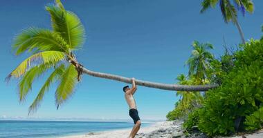 un hombre sin camisa relajante en el playa y sube un Coco palma árbol. Delgado hombre en paraíso playa video