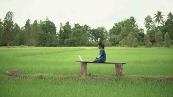 asiático niña meditación o estar yoga a exterior, campo de tailandia video