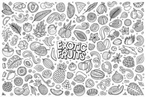 Cartoon Exotic Tropical Fruits objects and symbols doodle set vector