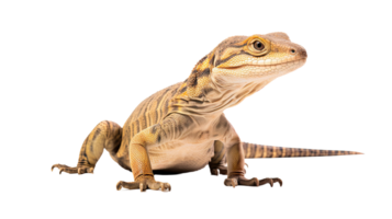 AI generated Varanus Macrae isolated on a transparent background png