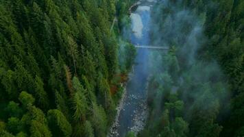 top naar beneden visie van mooi berg landschap. een rivier- stromen tussen hoog bomen video