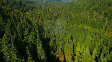 aereo Visualizza di canadese montagna paesaggio nel nuvoloso giorno. prese vicino vancouver video