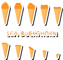 Big colorful set different tastes natural dessert ice cream of consisting various ingredients png