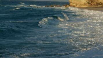 pacífico olas suavemente bailando y Moviente video