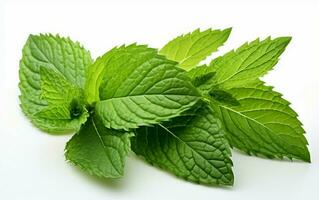 AI generated Vibrant Fresh Mint Leaf on White background photo