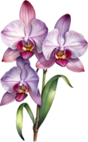 ai genererad vattenfärg målning av zygopetalum orkide blomma. illustration av blommor. ai-genererad. png