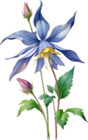 ai generado acuarela pintura de aguileña flor. ilustración de flores ai-generado. png