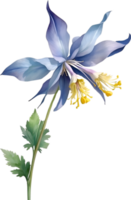 ai generado acuarela pintura de aguileña flor. ilustración de flores ai-generado. png