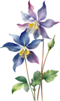 AI generated Watercolor painting of Columbine flower. Illustration of flowers. AI-Generated. png