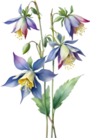 AI generated Watercolor painting of Columbine flower. Illustration of flowers. AI-Generated. png