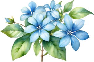 AI generated Watercolor painting of Cape Plumbago flower. Ai-Generated png