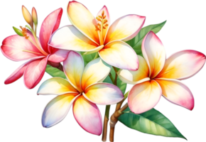 AI generated Watercolor painting of Plumeria flower. Ai-Generated png