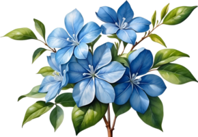 AI generated Watercolor painting of Cape Plumbago flower. Ai-Generated png