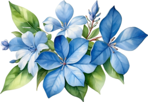 AI generated Watercolor painting of Cape Plumbago flower. Ai-Generated png