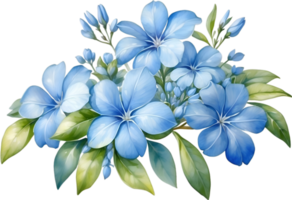 AI generated Watercolor painting of Cape Plumbago flower. Ai-Generated png