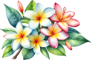 AI generated Watercolor painting of Plumeria flower. Ai-Generated png