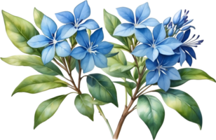 AI generated Watercolor painting of Cape Plumbago flower. Ai-Generated png