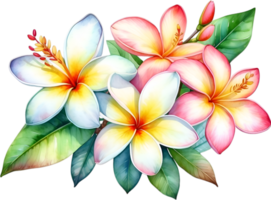 AI generated Watercolor painting of Plumeria flower. Ai-Generated png