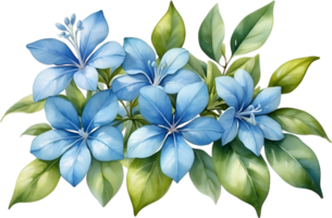 AI generated Watercolor painting of Cape Plumbago flower. Ai-Generated png