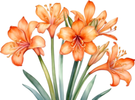 AI generated Watercolor painting of Clivia miniata flower. Ai-Generated png