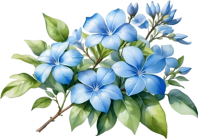 AI generated Watercolor painting of Cape Plumbago flower. Ai-Generated png