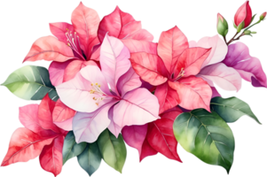 AI generated Watercolor painting of Bougainvillea flower. Ai-Generated png