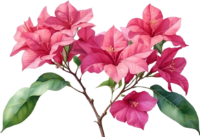 AI generated Watercolor painting of Bougainvillea flower. Ai-Generated png