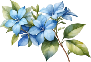 AI generated Watercolor painting of Cape Plumbago flower. Ai-Generated png