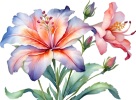 AI generated Watercolor painting of Penta flower. Ai-Generated png