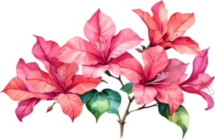 AI generated Watercolor painting of Bougainvillea flower. Ai-Generated png