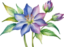 AI generated Watercolor painting of Penta flower. Ai-Generated png