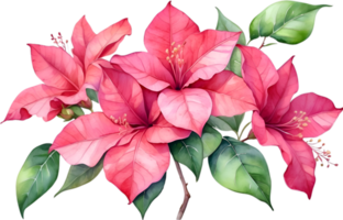 AI generated Watercolor painting of Bougainvillea flower. Ai-Generated png