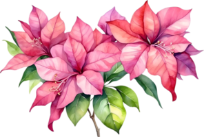 AI generated Watercolor painting of Bougainvillea flower. Ai-Generated png