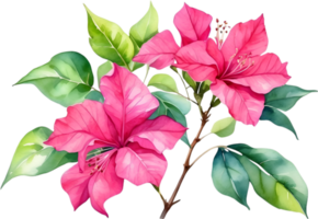 AI generated Watercolor painting of Bougainvillea flower. Ai-Generated png