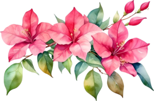 AI generated Watercolor painting of Bougainvillea flower. Ai-Generated png