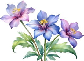 ai generiert Aquarell Gemälde von Penta Blume. KI-generiert png