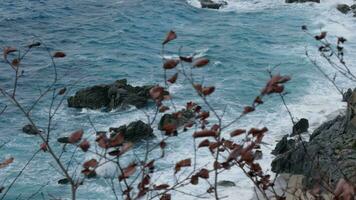 Melancholy during a storm on the beach video