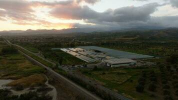 Greenhouse for the intensive cultivation of tomatoes in Calabria video