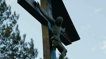 crucificado Jesus Cristo contra árvore video