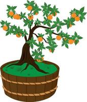 Orange tree with fruits and flowers in wooden vat vector illustration