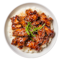 AI generated Chicken Teriyaki on a White Plate on Transparent Background. png